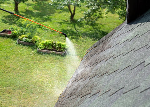 Residential roof with moss removal treatment